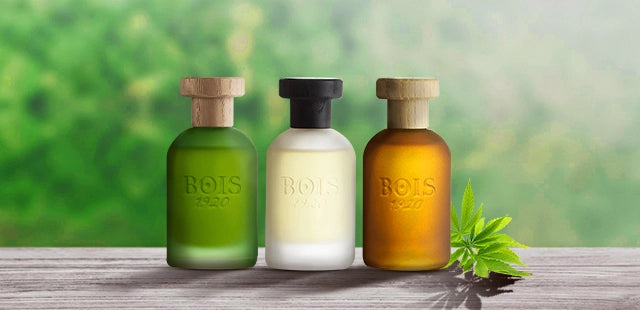 Top 10 Best Bois 1920 Perfumes hallburg