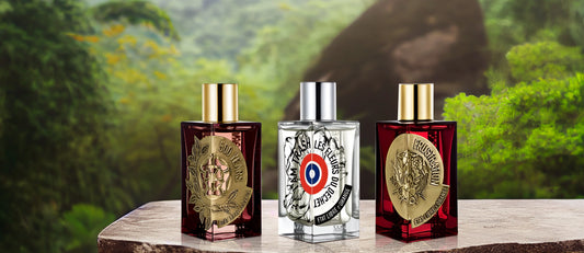 Top Perfumes from Etat Libre D'Orange hallburg