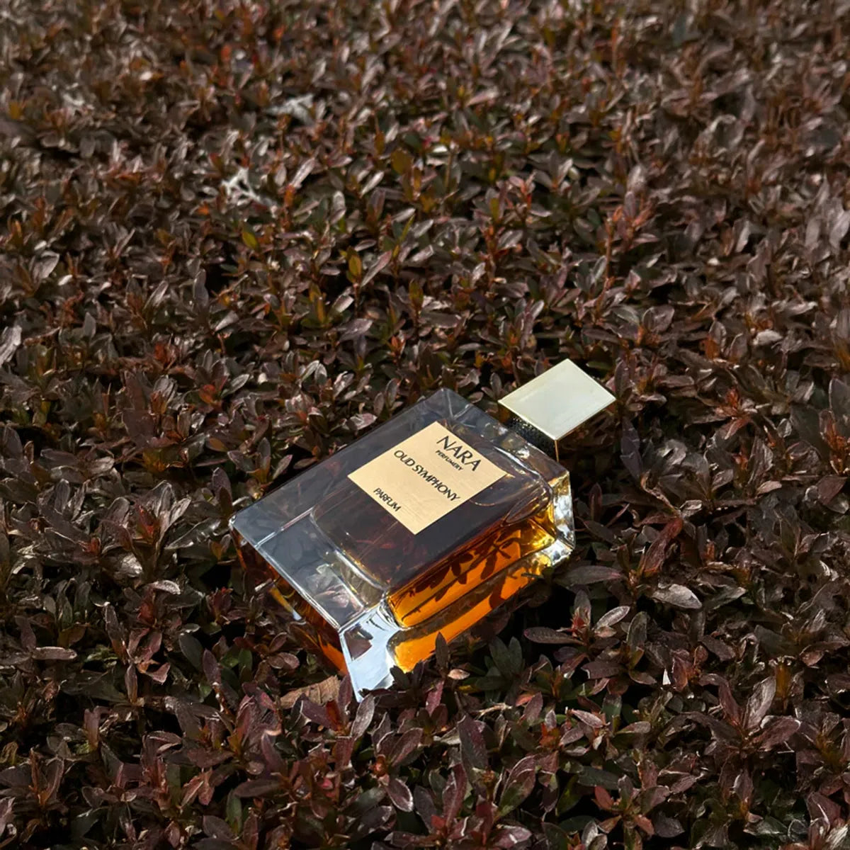 Oud Symphony