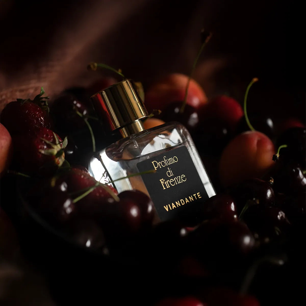 Perfume bottle labeled 'VIANDANTE' surrounded by berries on a dark background