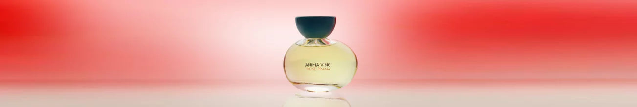 Best Perfumes for Women