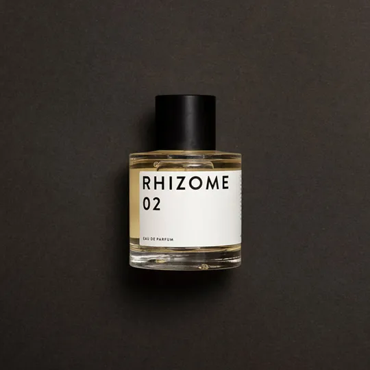 Rhizome 02 -  Rhizome - Hallburg.ae