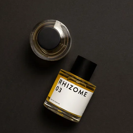 Rhizome 03 -  Rhizome - Hallburg.ae