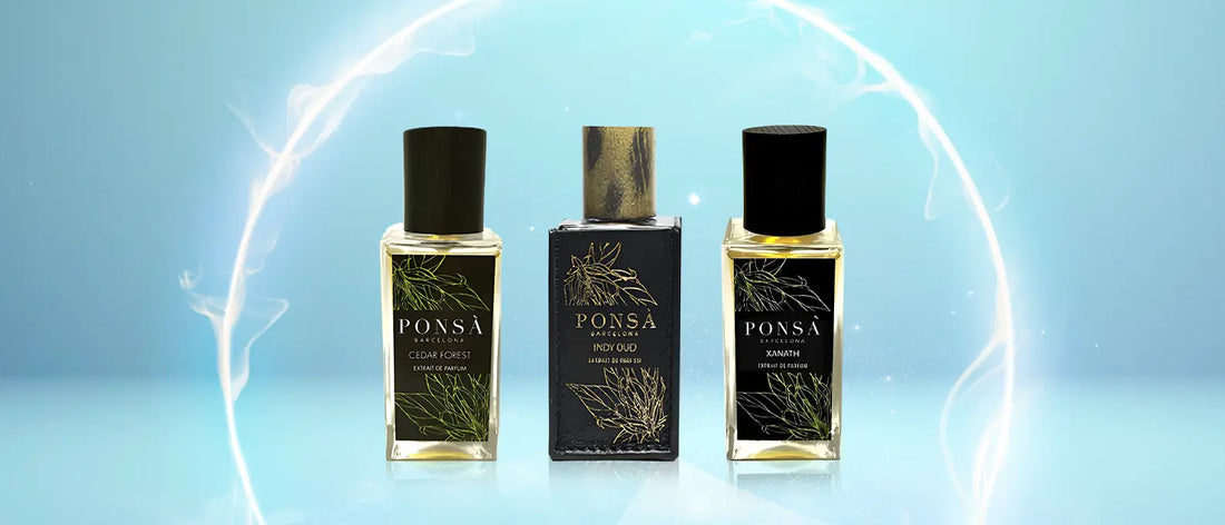 Exploring Ponsà's Inspirational Fragrance Collections hallburg