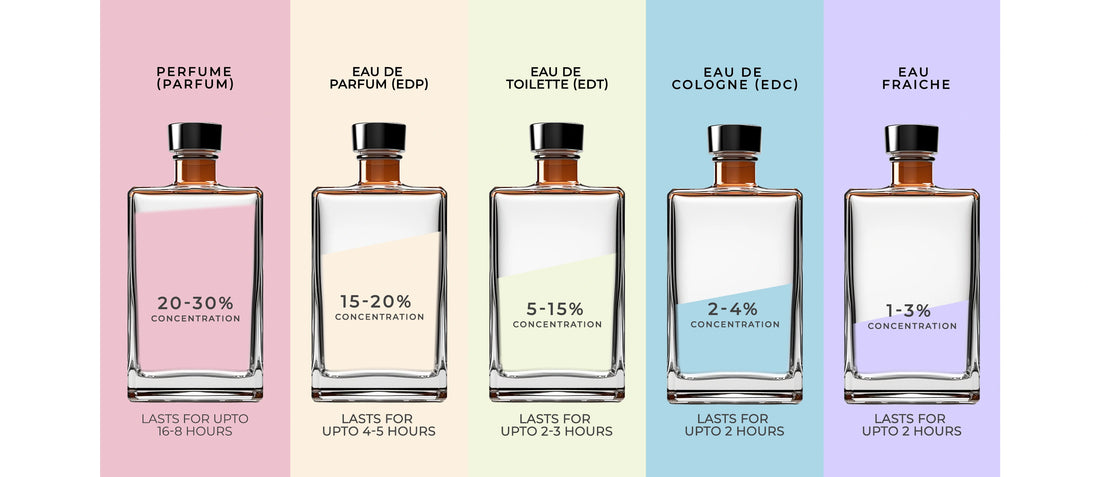 A Complete Guide To Perfume Types hallburg
