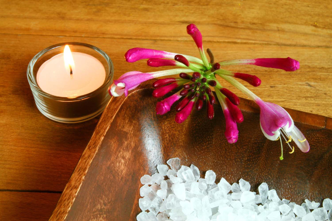 Scented Candles by Hallburg: How to Choose the Perfect Aroma