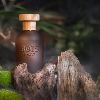 Bois 1920 Cannabis Dolce perfume bottle with frosted amber glass and wooden cap placed among natural wood and moss in a forest-inspired setting.