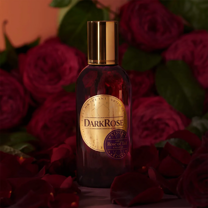 Bottle of DarkRose perfume surrounded by dark red roses
