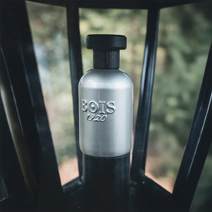 Bois 1920 Dolce Di Giorno perfume bottle with metallic silver finish and black cap placed inside a lantern with soft natural background.