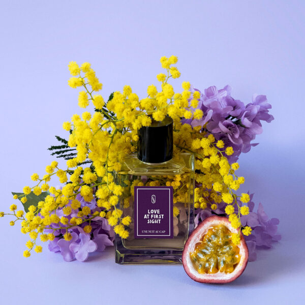 Love At First Sight - Une Nuit Nomade |  Hallburg AE.