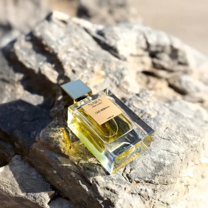 Oud Ikebana