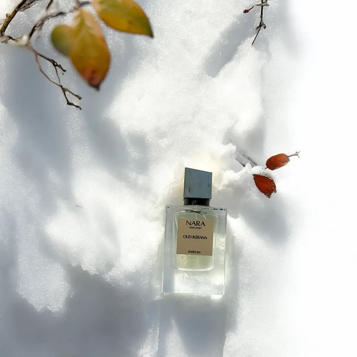 Oud Ikebana