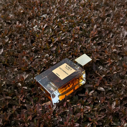 Oud Symphony