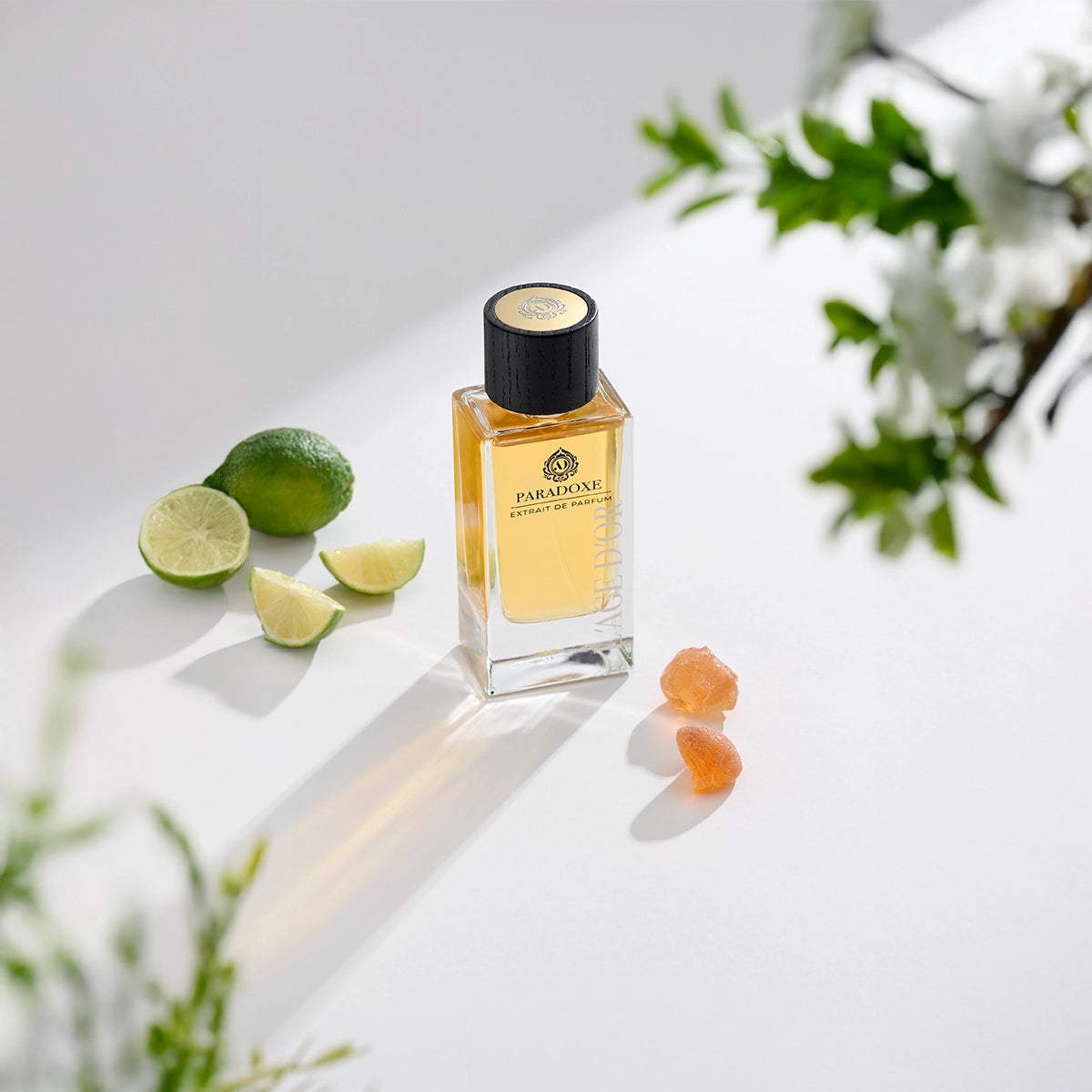 Paradoxe by L’Âge d’Or luxury perfume bottle styled with lime, citrus slices and floral elements on bright background
