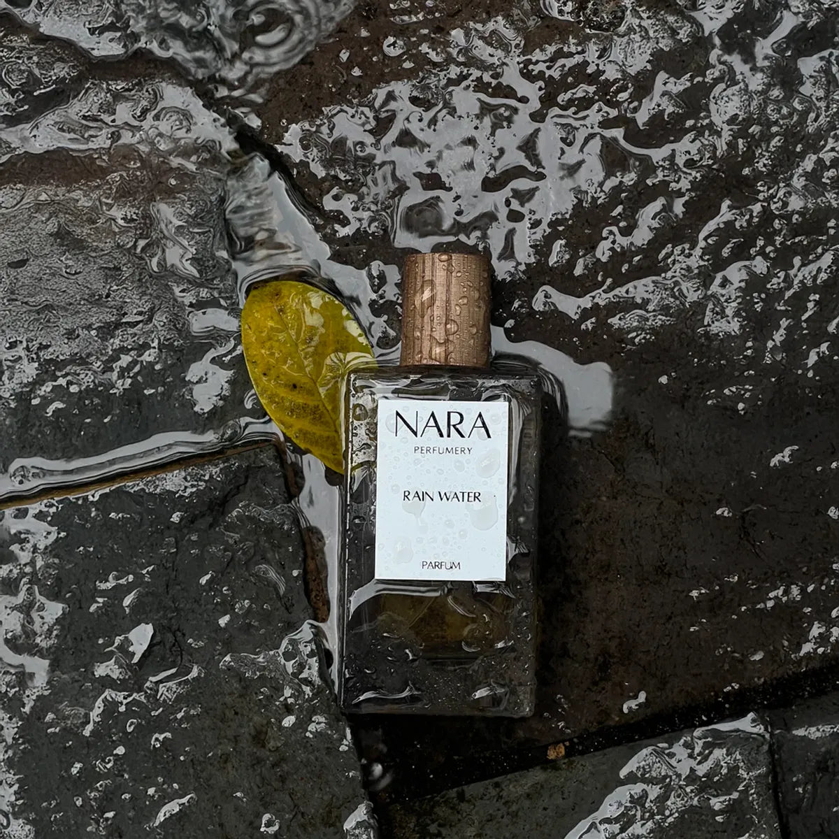 Rain Water