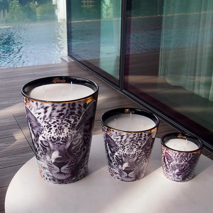 Savannah Nights Scented Candle – Luxurious woody fragrance | Hallburg.ae