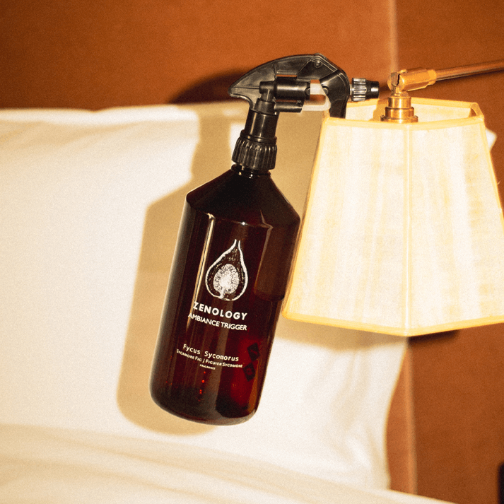 Sycamore Fig Ambiance Spray - Zenology |  Hallburg AE.